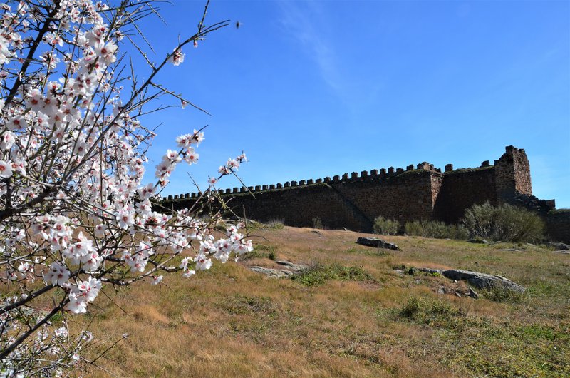 CASTILLO DE MONTALBAN-8-3-2015-TOLEDO - Pueblos y lugares abandonados/deshabitados-2011 AL 2024 (13)