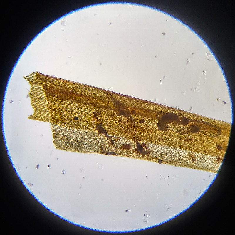 IMG 20250614 112032 HDR