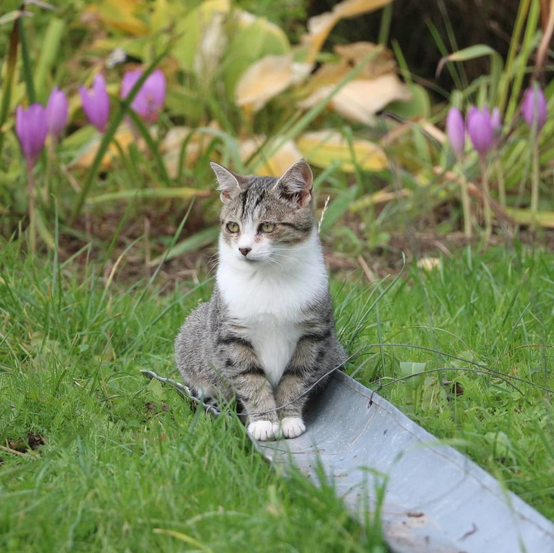 imgonline-com-ua-Resize-tIuFPCQ6tnF0gp