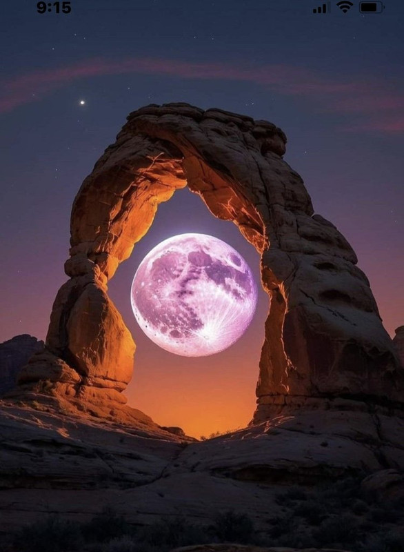pink-moon.jpg