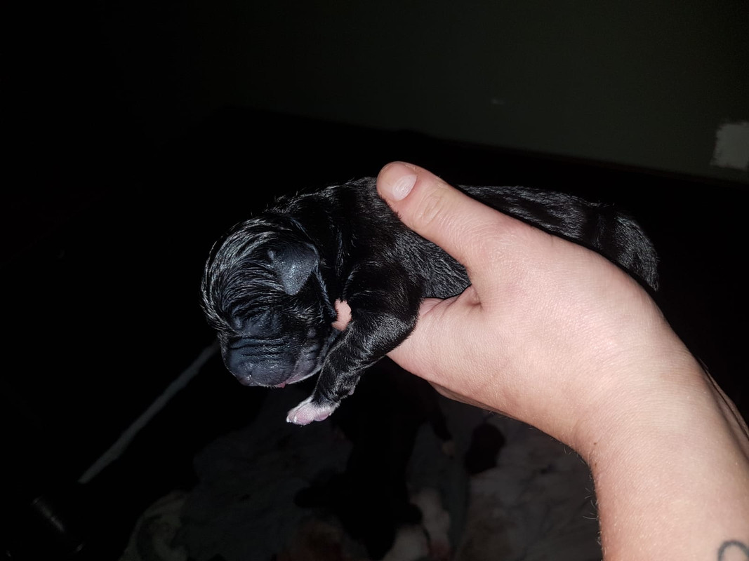 319C9051-A17A-4FF4-974A-2655B2FB6041