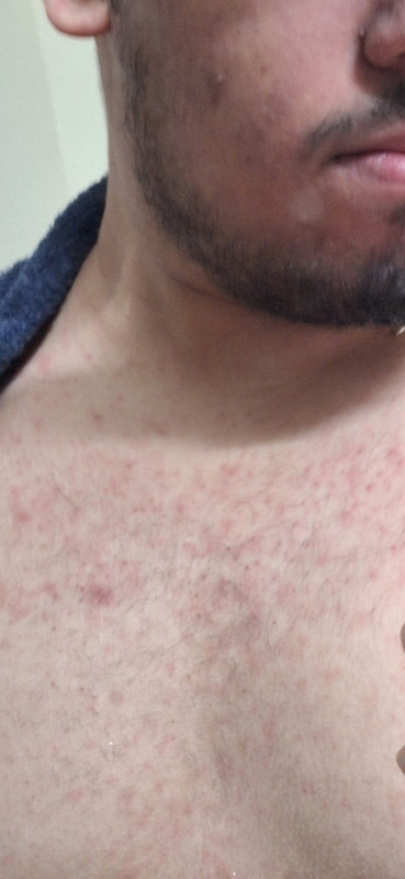 Screenshot 20260427 191447 Gallery