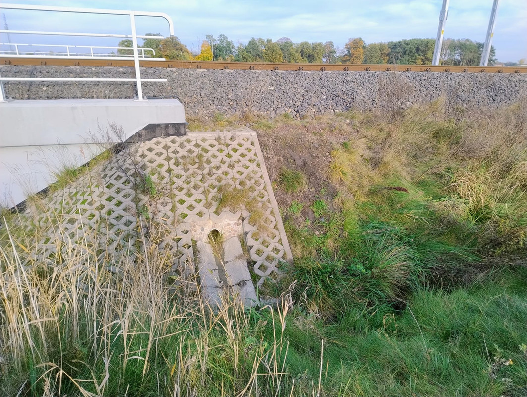 WhatsApp Image 2023-11-06 at 11.46.26(1)