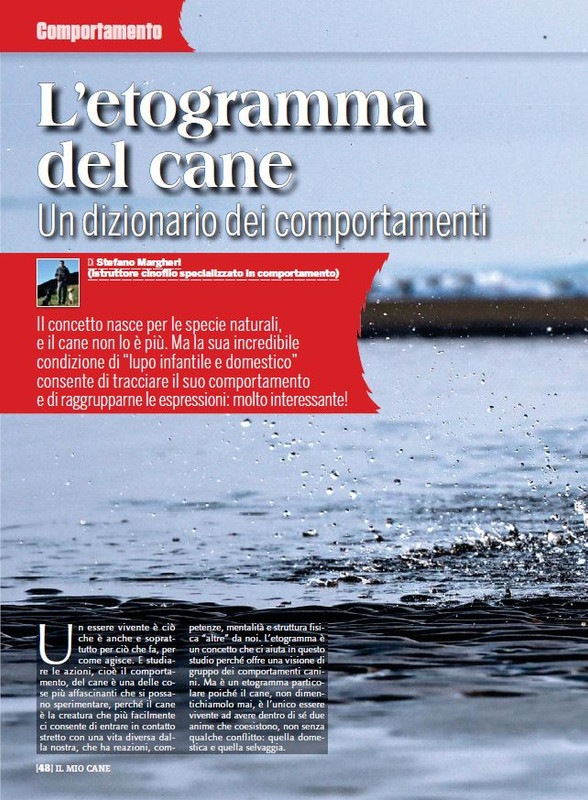 Il M C Dic 2022-Gen 2023 (7)