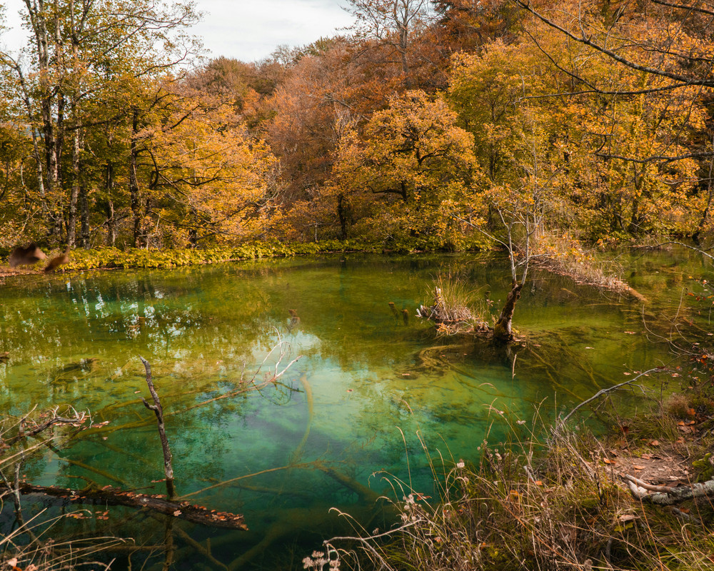 
							Hiking Trails
