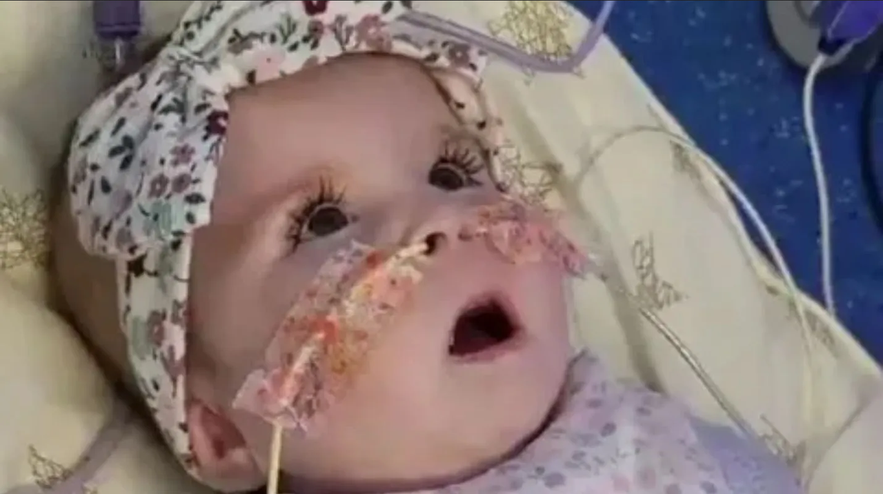 Italia da nacionalidad a bebé de 8 meses con rara enfermedad