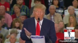 IMG-0518.gif
