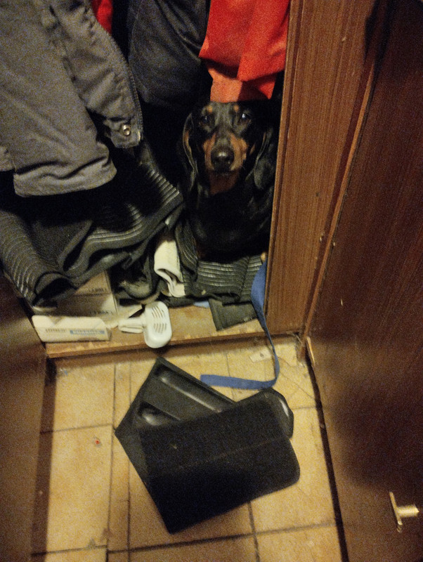 [Image: 1671546317125.jpg]