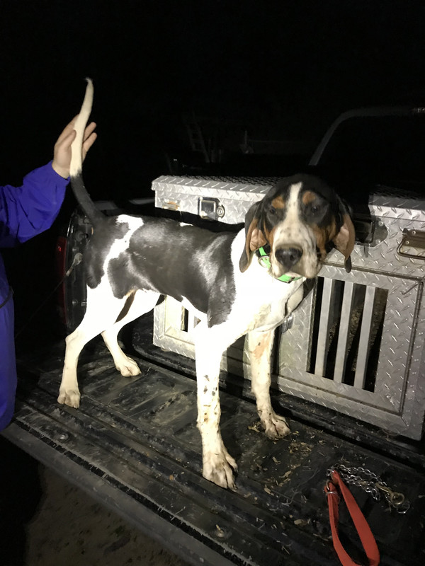 3F69E77C-D7BD-4BA5-AC68-F974A7EB1BD4