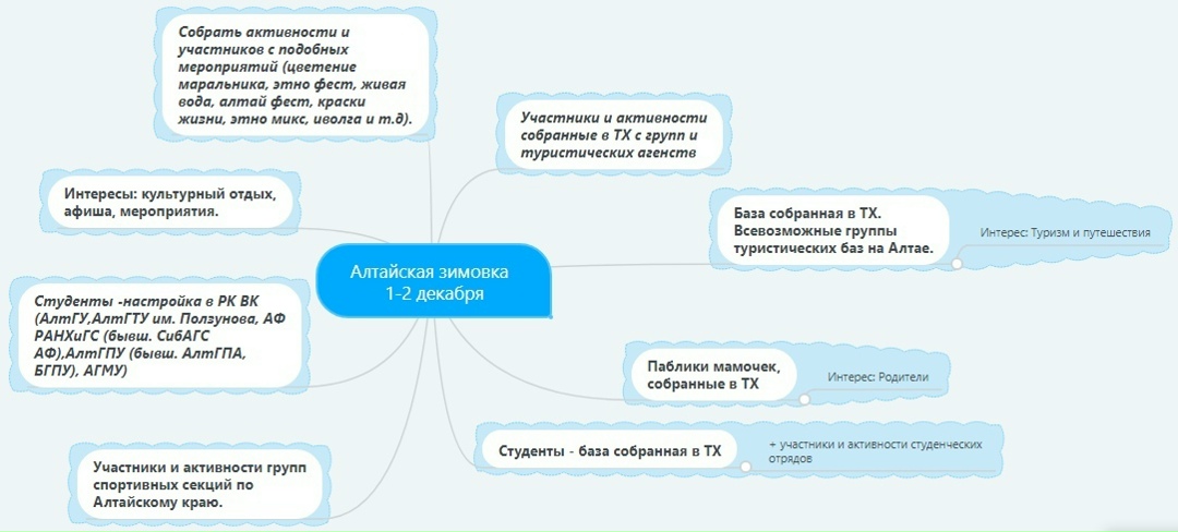 Ментальная карта целевой аудитории