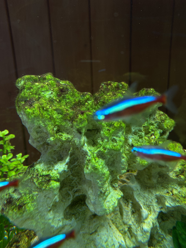 4BA75EEE-01DF-4A97-A039-152B50044731