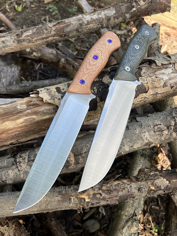 43EF2A77-1EE8-4A15-815D-83848E0A4762