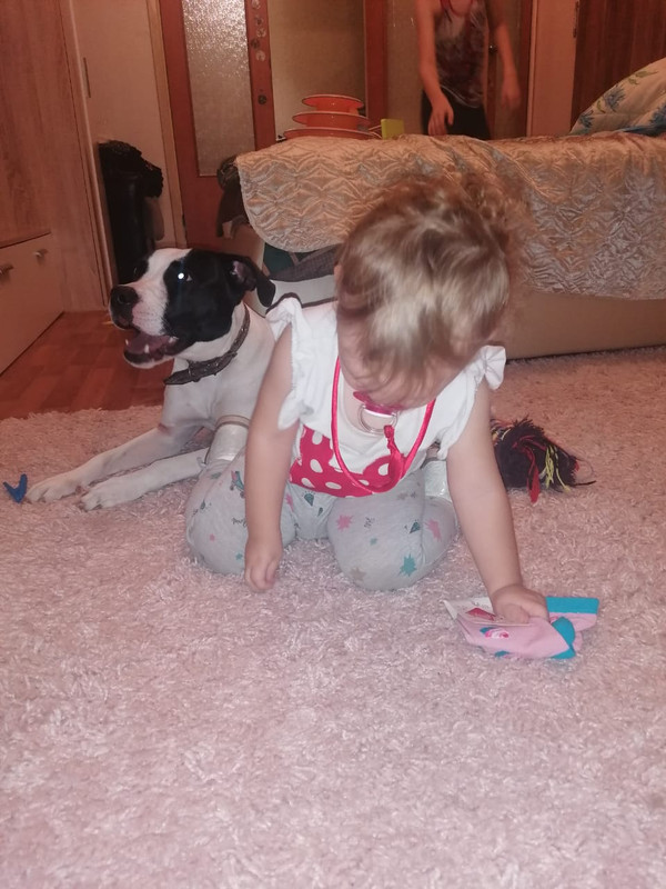 CD78148E-C33E-47B3-B089-BEF92E8E77DD