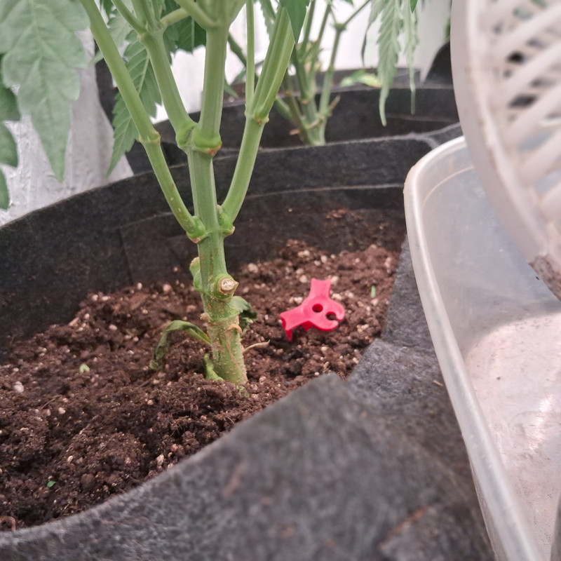 Whats App Image 2026 01 05 at 12 37 54