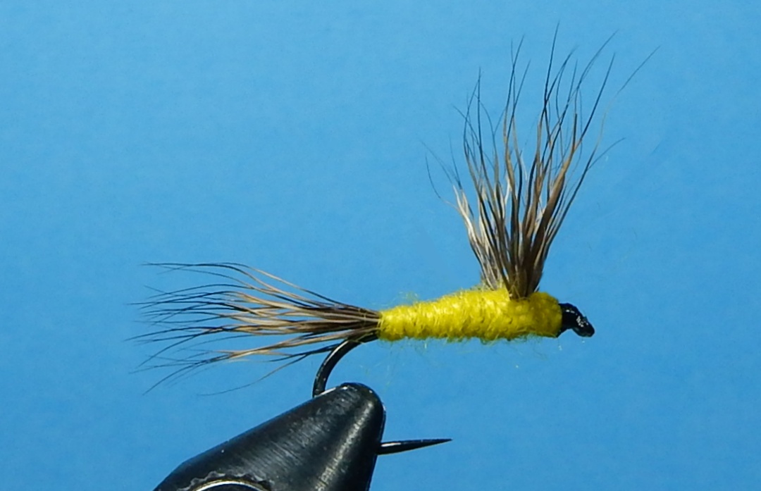 Cramer-1080.jpg
