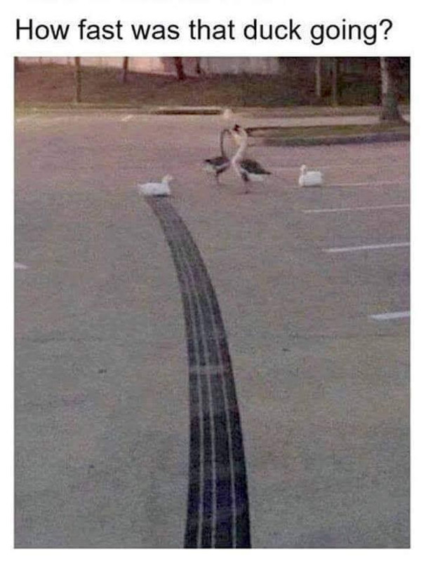 40CD13D9-EAA9-4757-9186-10D961208DB4