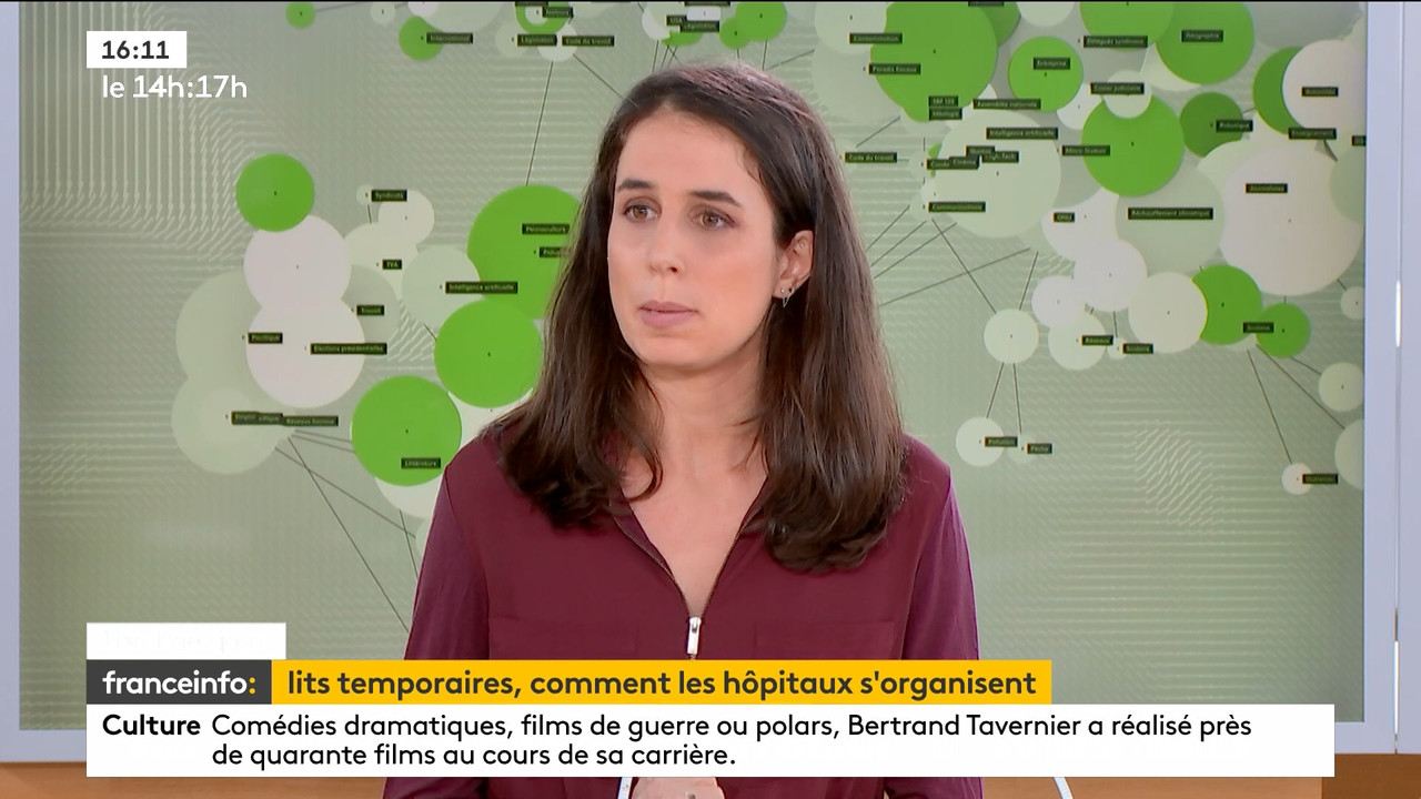 03.25 - 12.59.00 - Le 14h-17h. Au sommaire   Vrai ou fake. - francein..._001.ts_snapshot_00.53.24.39