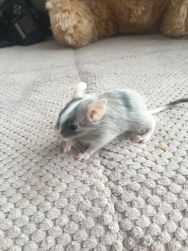 16B45CBD-25B3-4352-A860-78473C857840