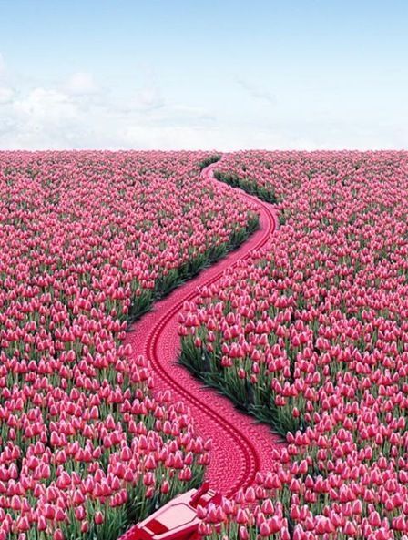 flowerszip.jpg
