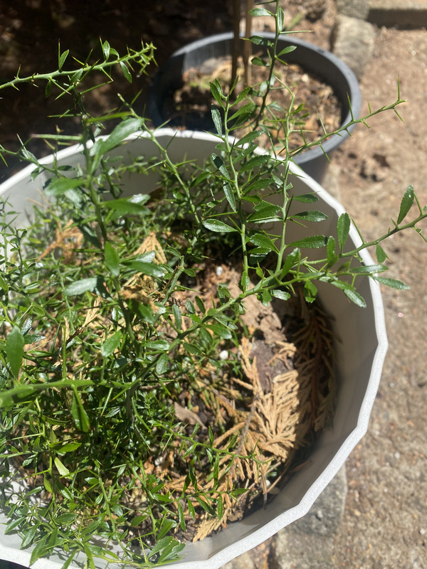 F988E2E8-6749-4027-95A3-39E49A614065