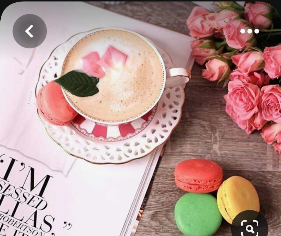 Screenshot_20230528_231621_Pinterest