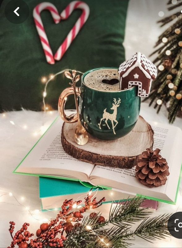 Screenshot_20231120_230709_Pinterest