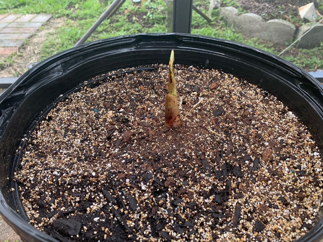 65FADA10-641A-4CC9-9BC5-9F11C192A0DC