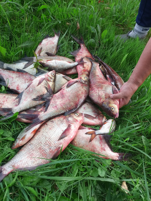 IMG_20230802_152925 то то