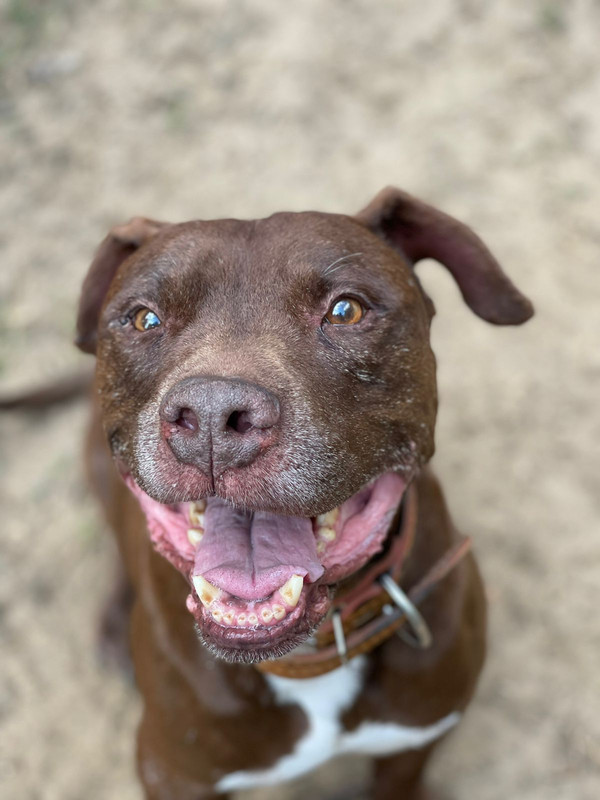 WhatsApp Image 2022-08-05 at 20.23.25 (1)