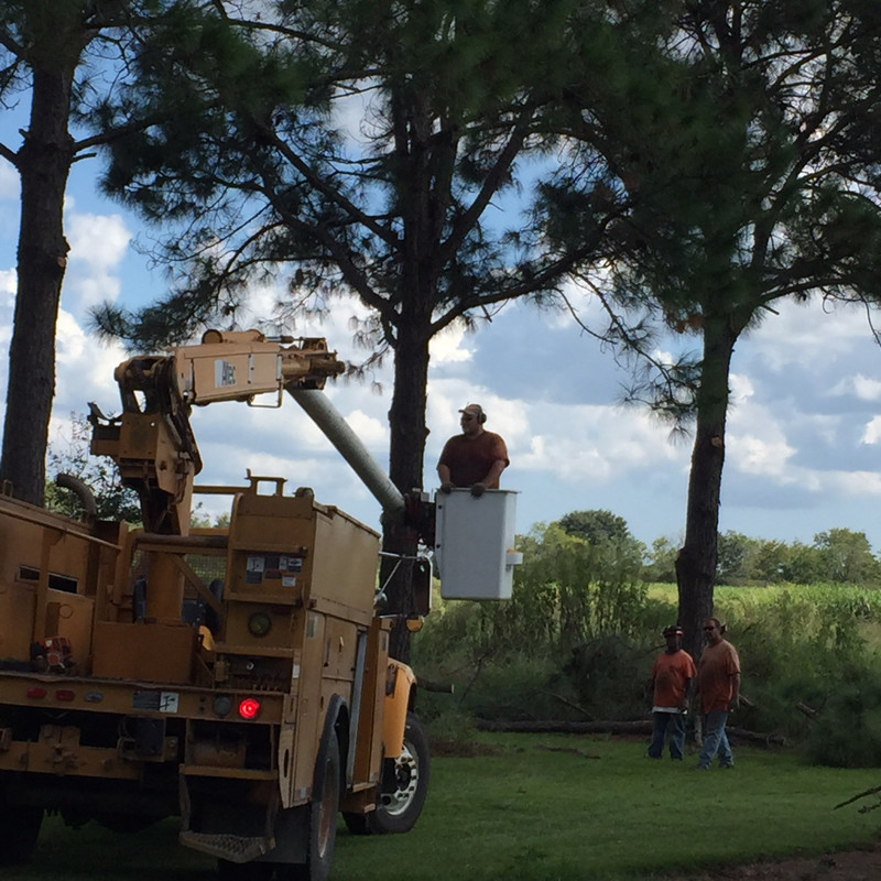 664DA31A-2059-41C6-A65D-047D3A771326