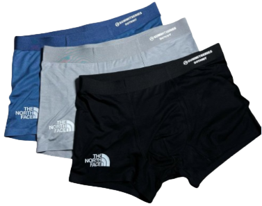 The North Face Boxers