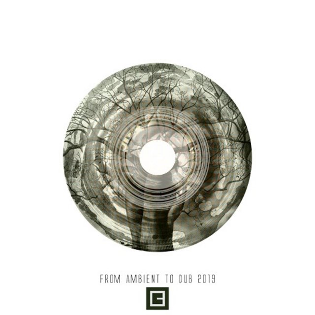 VA-From Ambient to Dub 2019-(TRD070)-WEB-2020-BABAS Scarica Gratis