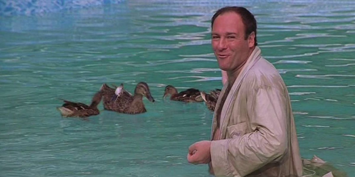 Tony Soprano gesturing at the ducks in his pool