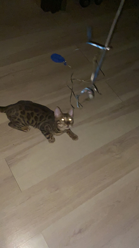 9DE0AAE0-C5C1-4B59-B517-C1E5595DB757