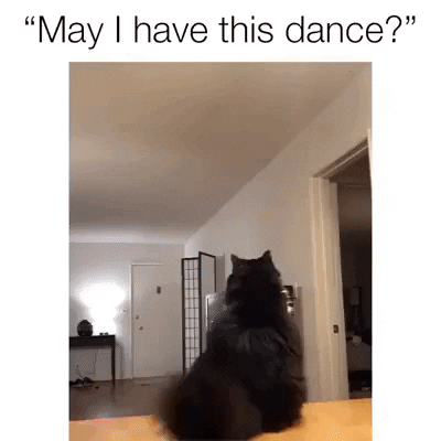https://i.postimg.cc/kgFSnXL1/2.gif