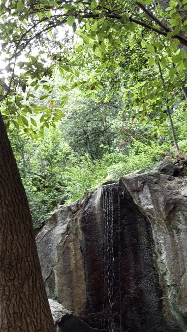 20210706-155827-1.gif