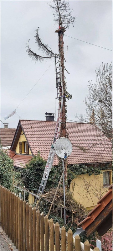 thumbs-EMOK-Picdump-688-108.jpg