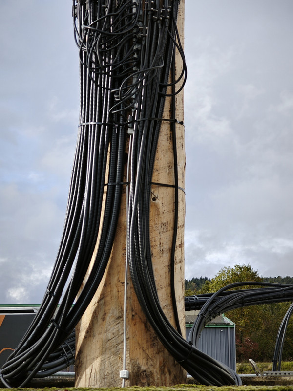 39A94154-5626-40BF-8397-6BD54350A92A