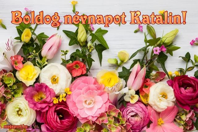Kép