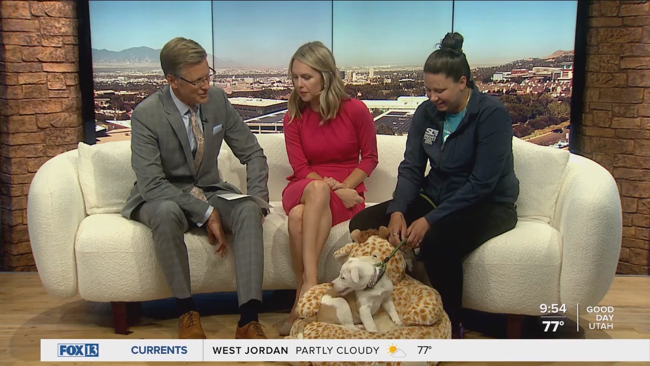 08.01 - 16.00.00 - FOX13 News  Good Day Utah 9AM  ᴺᵉʷ. Utah news, wea....ts_snapshot_00.55.51.993