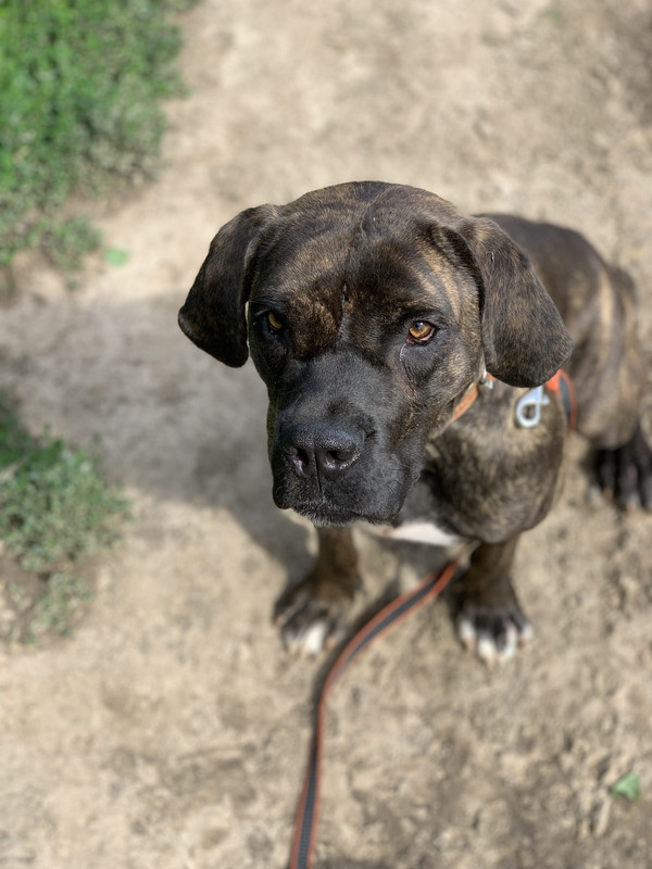 9425527A-3145-49DA-9B97-FA73B114CAA0