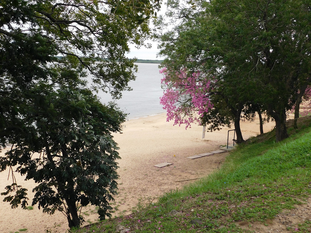 DSCN1614.jpg