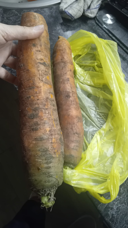 462079470_10229789994271467_5814443249592038212_n