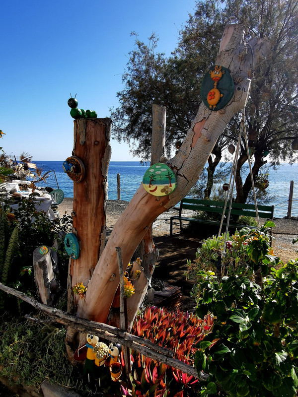 IMG_20240103_123444_edit_88436921790150