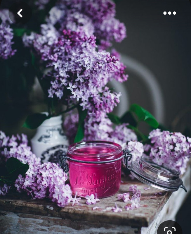 Screenshot_20230616_124835_Pinterest