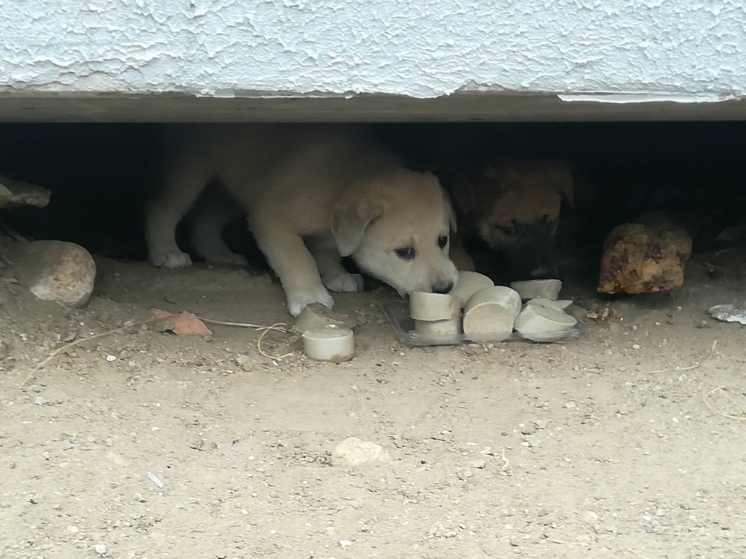 IMG_0348-27-10-18-02-44