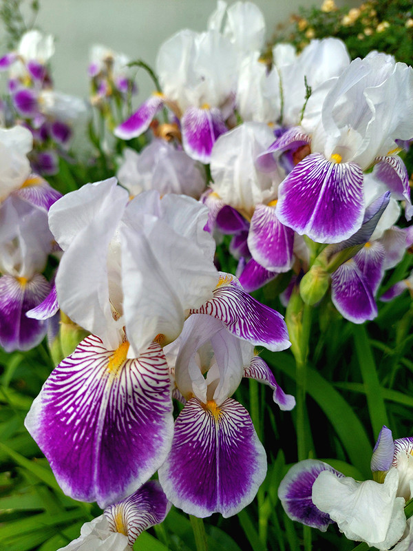 20250616_162032 копия