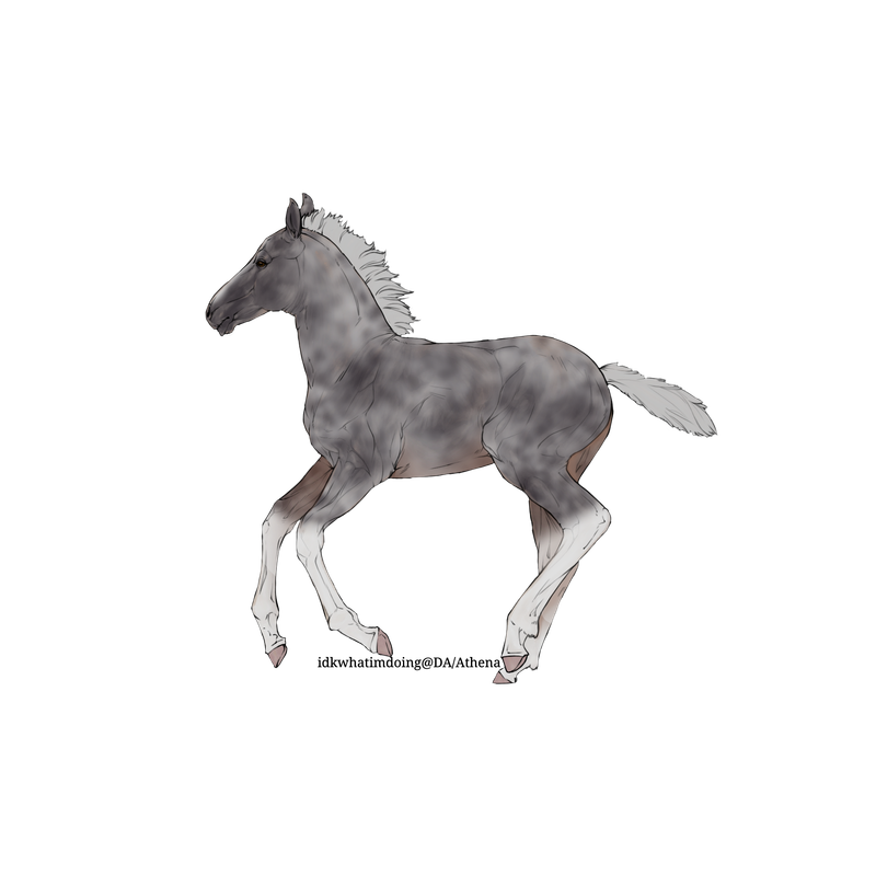 Untitled88-20250725185014.png