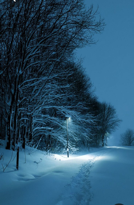 Screenshot_20231016_204938_Pinterest