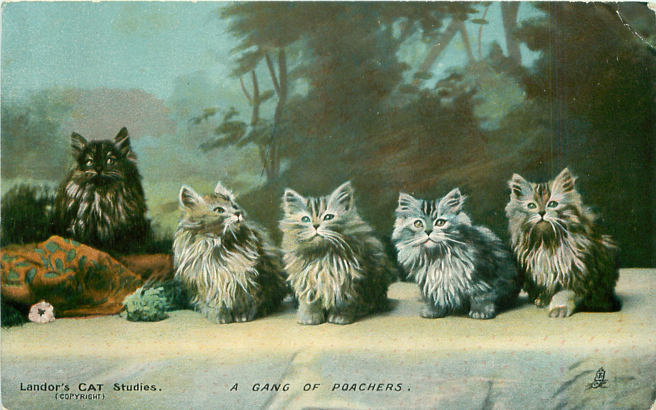 25-2011-06-15-18-05-45